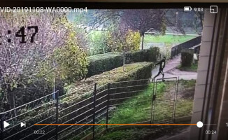 To oni okradli starszą kobietę. Policja po sygnałach od czytelników zatrzymała sprawców  