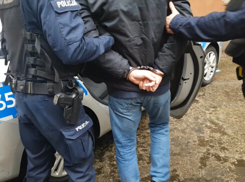 Kradli tylko francuskie auta. Wpadli w Pile  - grafika