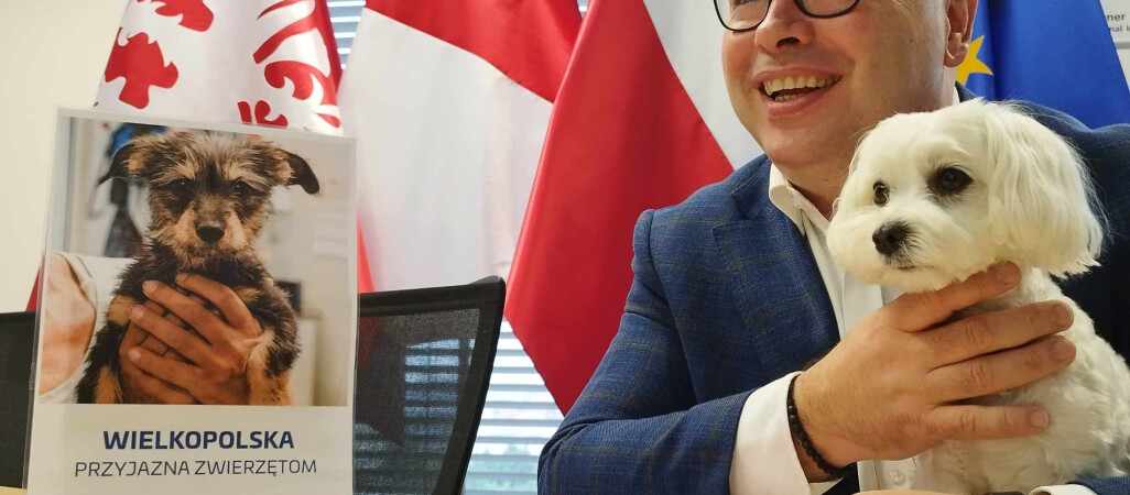 Samorządowe dotacje na schroniska dla zwierząt