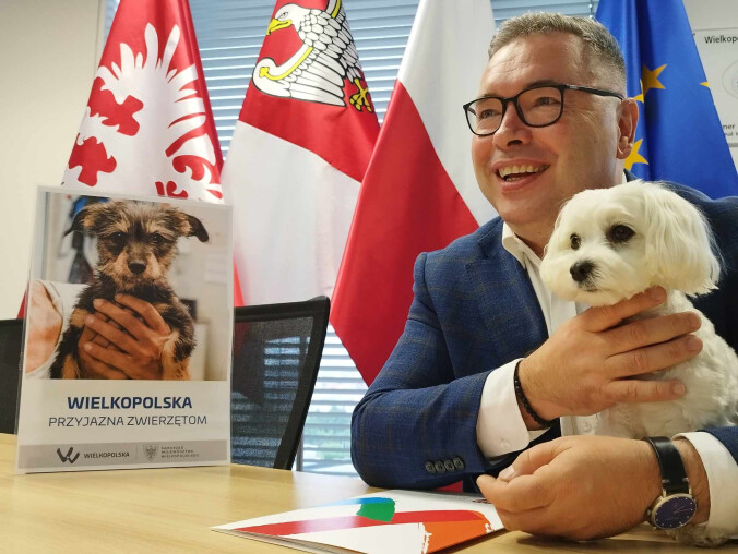 Samorządowe dotacje na schroniska dla zwierząt  - grafika