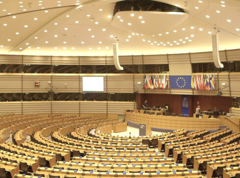 Kogo znajdziemy na listach wyborczych do Europarlamentu?  - grafika