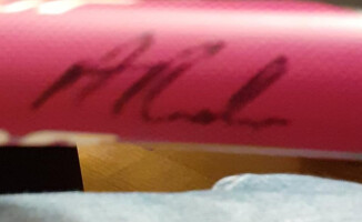 Rakieta Radwańskiej na licytacji dla Nikodema Nitka