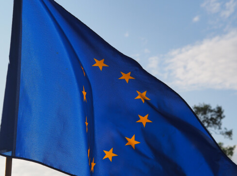 Wiec poparcia dla Unii Europejskiej w Pile  - grafika