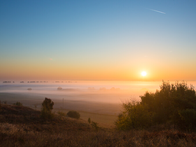 Będą dwa nowe rezerwaty przyrody w regionie  - grafika