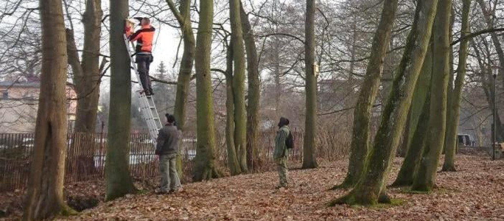 Budki lęgowe dla wróbli i sikorek w Pile. Są też schrony dla nietoperzy