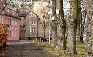 Budki lęgowe dla wróbli i sikorek w Pile. Są też schrony dla nietoperzy 