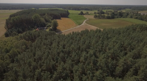 Spór o koło łowieckie w Lipce  - grafika