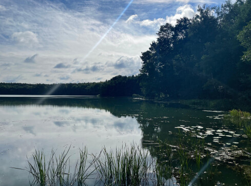 "Katastrofa ekologiczna" - alarmuje dr Paweł M. Owsianny - grafika
