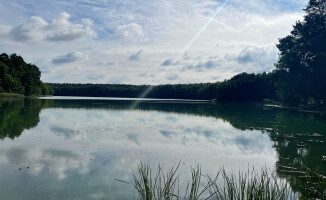 "Katastrofa ekologiczna" - alarmuje dr Paweł M. Owsianny