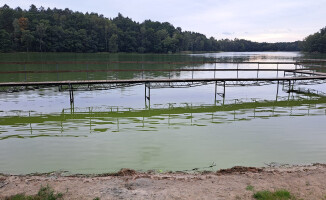 "Katastrofa ekologiczna" - alarmuje dr Paweł M. Owsianny