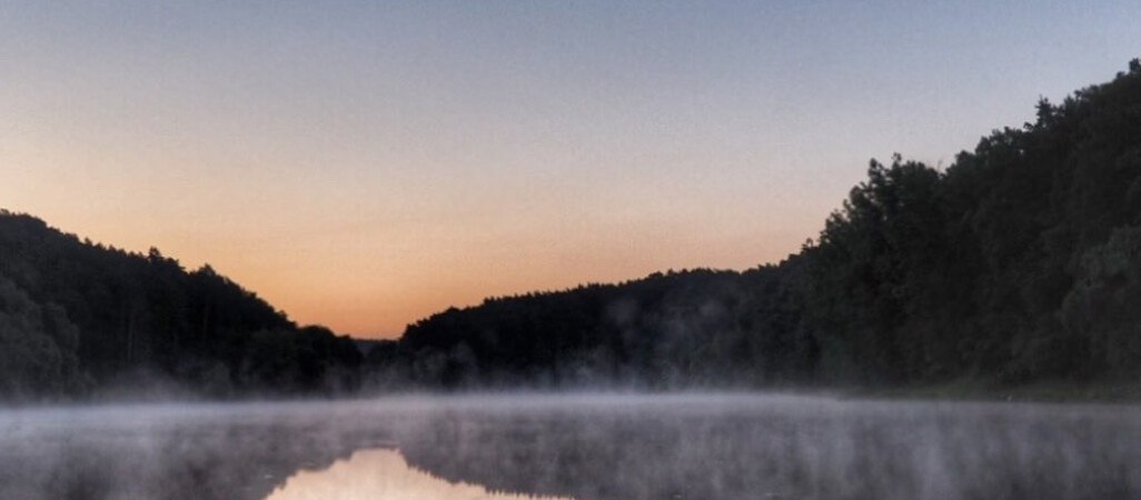 A może noc spędzona w lesie? Teraz to legalne