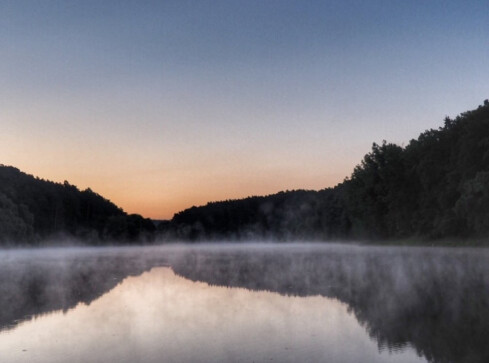 A może noc spędzona w lesie? Teraz to legalne - grafika