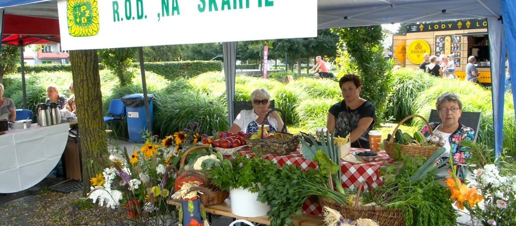 Korso Pilskie. Działkowcy dzielili się swoimi plonami 
