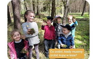 Jak zrobić... kupę w lesie. Leśnicy instruują 