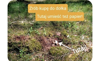 Jak zrobić... kupę w lesie. Leśnicy instruują 