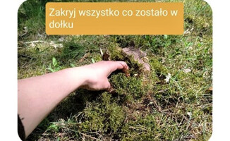 Jak zrobić... kupę w lesie. Leśnicy instruują 
