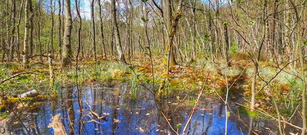 2 mln unijnej dotacji na program "Deszczówka" 