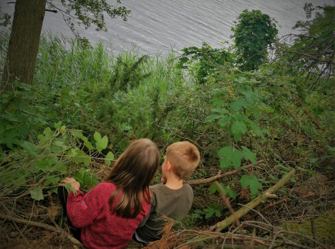 Wakacje w lesie? Dlaczego nie. Leśnicy radzą jak to zrobić  - grafika