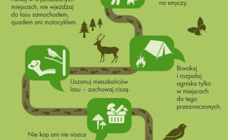 Wakacje w lesie? Dlaczego nie. Leśnicy radzą jak to zrobić 