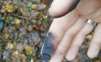 Przypadkowe odkrycie: kurhanowe cmentarze oraz pozostałości po wczesnośredniowiecznych grodziskach