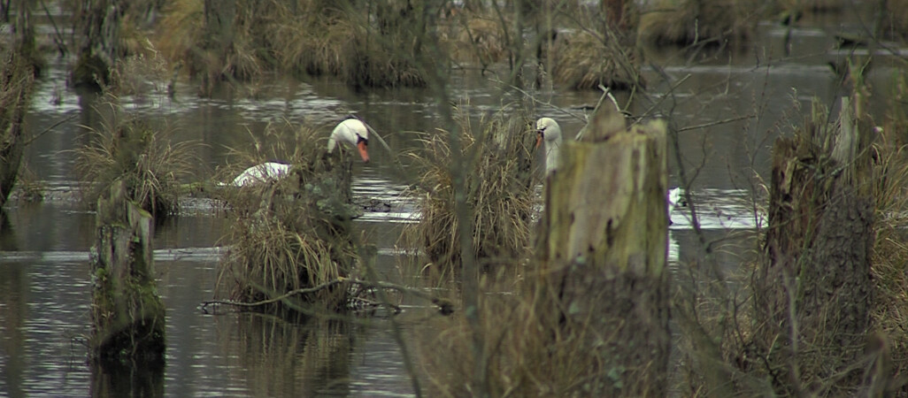 Polska ma takie same zasoby wody co Egipt