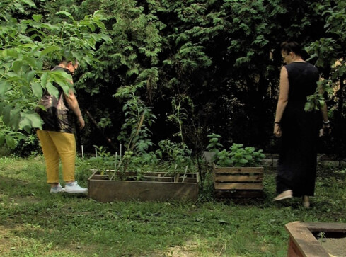 Miejskie ogrody sprawdzą się w Pile? - grafika