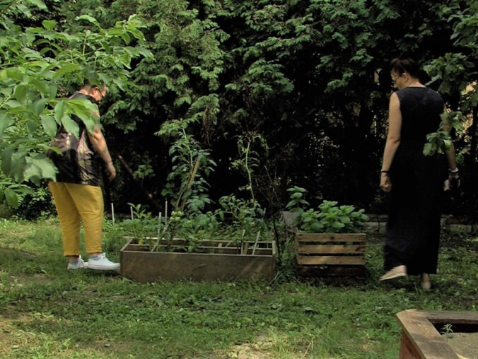 Miejskie ogrody sprawdzą się w Pile? - grafika