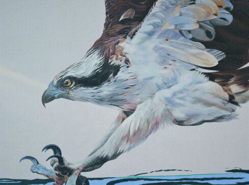 Mural z rybołowem jest już gotowy - grafika