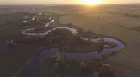 Zmiany klimatu mają swoje skutki także u nas - grafika