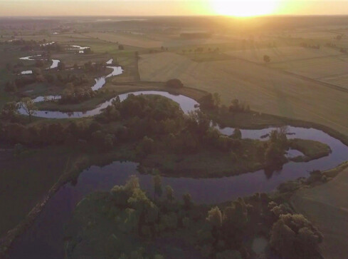 Zmiany klimatu mają swoje skutki także u nas - grafika