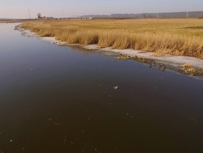 Od 50 lat w Pile nie spadło tyle deszczu co teraz - grafika