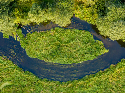 To oczko to Piława  - grafika