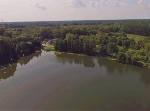 Czy powstanie Park Krajobrazowy Bory Kujańskie?  - grafika