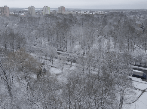 Czym jest śnieg i jak powstaje? - grafika
