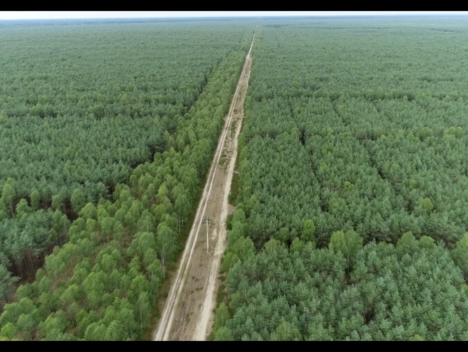 30 rocznica pożaru Puszczy Noteckiej  - grafika