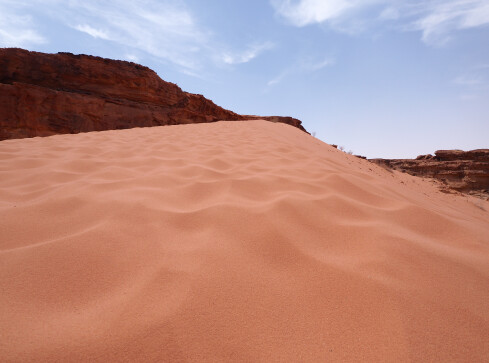Dziś Światowy Dzień Walki z Pustynnieniem i Suszą - grafika