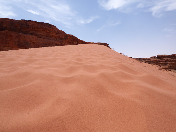 Dziś Światowy Dzień Walki z Pustynnieniem i Suszą - grafika