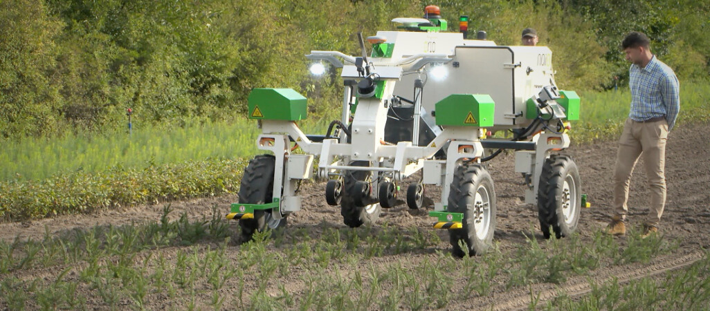 Leśnicy wykorzystują roboty do prac w szkółkach