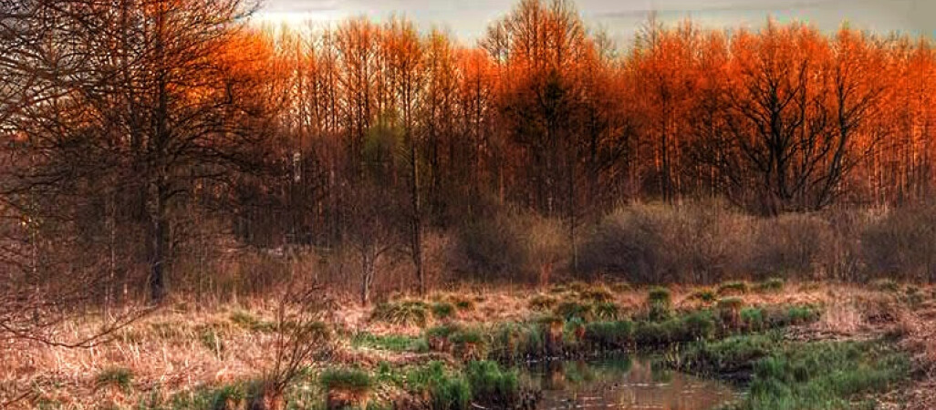 Wielkopolska Organizacja Turystyczna pomaga przedsiębiorcom