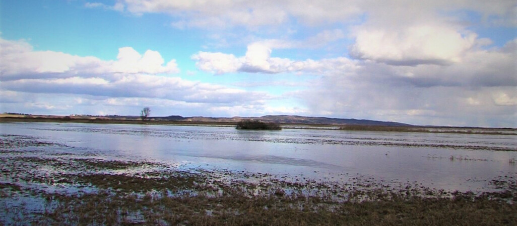 Wylała Noteć. Grożą nam podtopienia?