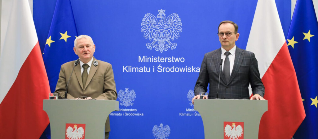 Lasy Państwowe skupują działki pod nowe lasy 