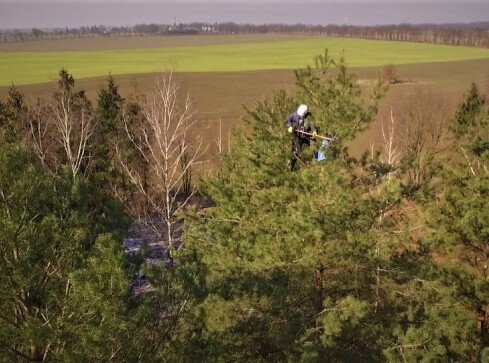 Szyszkarze w ferworze pracy. Na co komu szyszki? VIDEO - grafika