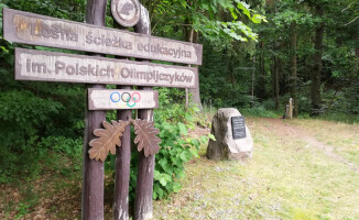 "Wyloguj się do lasu". Atrakcyjne miejsca w lasach naszego regionu