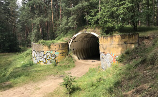 "Wyloguj się do lasu". Atrakcyjne miejsca w lasach naszego regionu