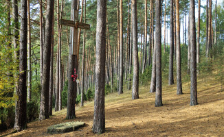 "Wyloguj się do lasu". Atrakcyjne miejsca w lasach naszego regionu