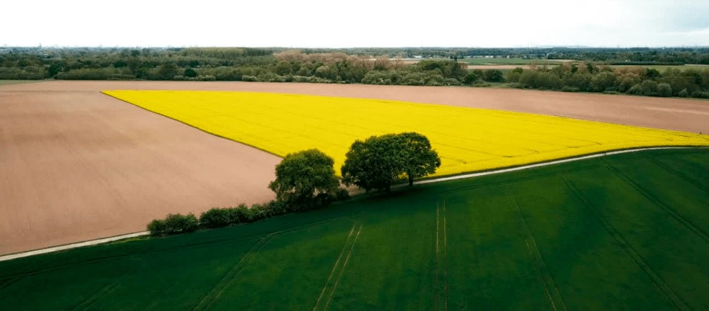Stanowisko społeczne w sprawie polskiego rolnictwa 