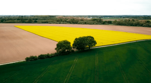 Stanowisko społeczne w sprawie polskiego rolnictwa  - grafika