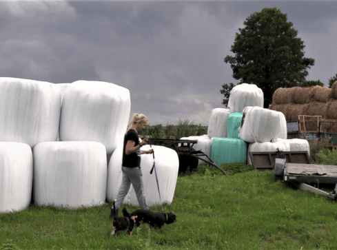 Plastikowy problem na wsi - grafika