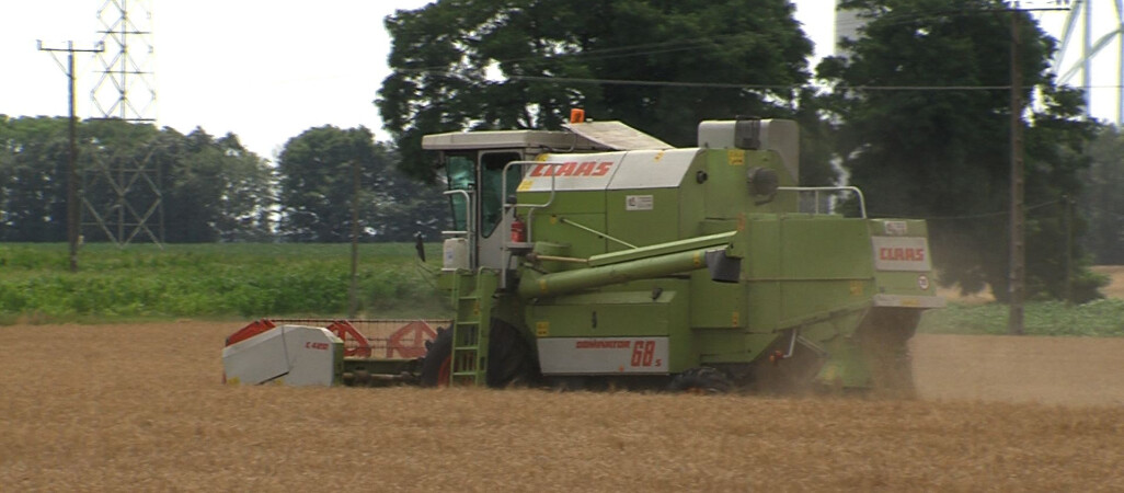 Trwają żniwa w regionie. Jakie będą plony?