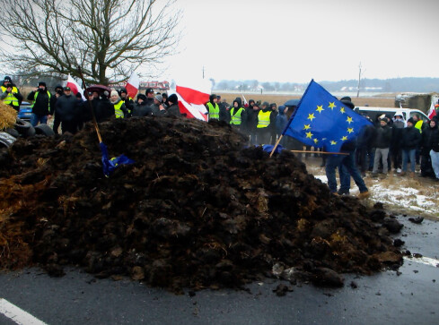 Wysypali obornik na drogę, zniszczyli też flagę unijną - VIDEO  - grafika